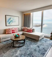 social suite