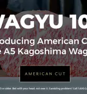 Image of Wagyu Beef cut with overlayed text saying "Wagyu 101"