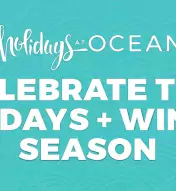 graphic with snowflakes and blue background saying "Celebrate the Holidays + Winter Season"
