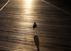 Atlantic City Boardwalk