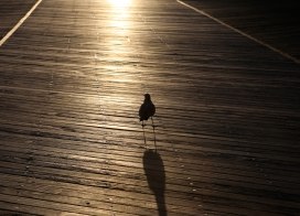 Atlantic City Boardwalk