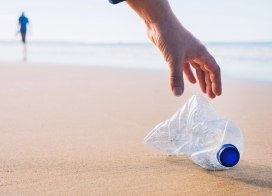 Beach Cleanup