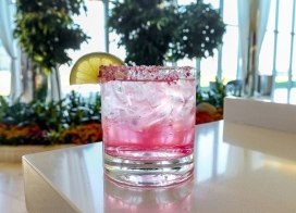 pink paloma cocktail