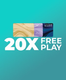 20x November FP