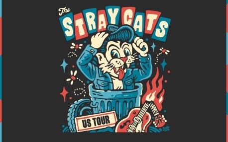 stray cats ovation hall 