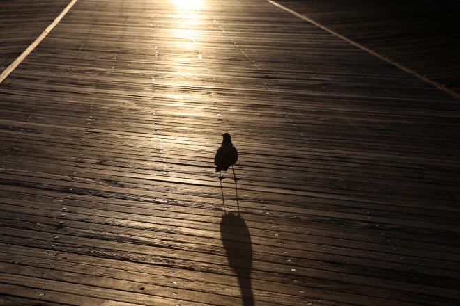 Atlantic City Boardwalk