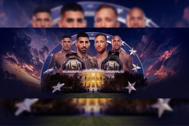 ufc freedom 250 the gallery