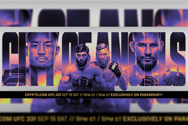 ufc 331