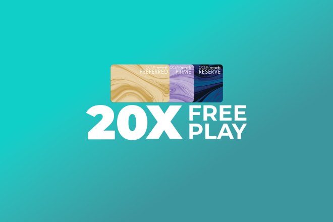 20x November FP