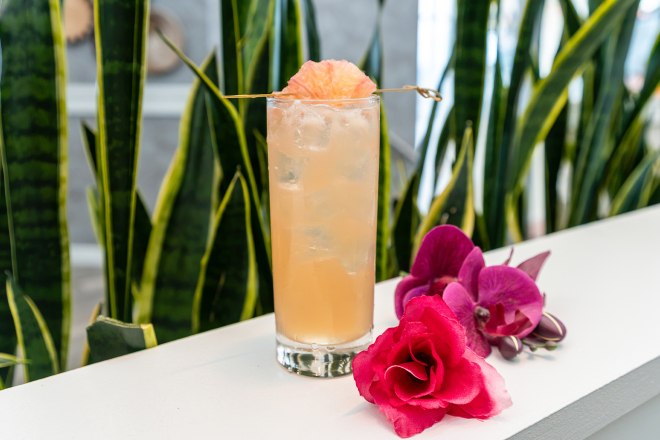 white paloma cocktail